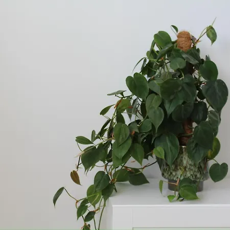 Appartement Lucky Sylt